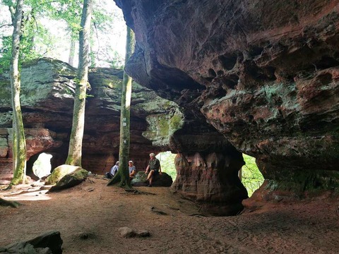 Mit Handy und GPS durch den Pflzerwald &#8211; und was es dabei zu beachten gilt - Badische Zeitung TICKET