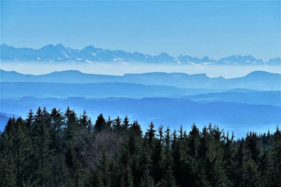 Den Schwarzwald zu Fu erkunden: Mit diesen drei Wanderfhrern gelingt die Auszeit - Badische Zeitung TICKET