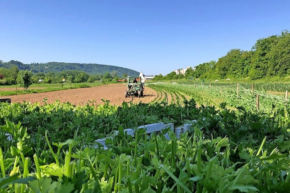 Mit dem BUND zum Biolandbetrieb Eulenhof in Dogern - Badische Zeitung TICKET