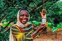 Fairfood Freiburg startet Crowdfunding-Kampagne fr Bio-Macadamia in Ruanda