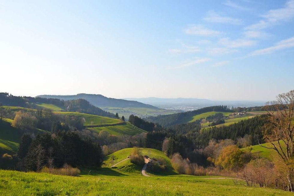 Weinberge und Schwarzwalblick: Von Freiburg ber Ebringen nach Horben - Badische Zeitung TICKET