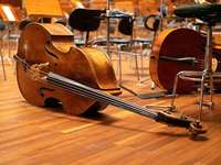 Diesen Oktober spielt das akademische Sinfonieorchester wieder in Freiburg