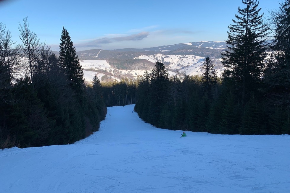 Holzplatzschneise - Wieden