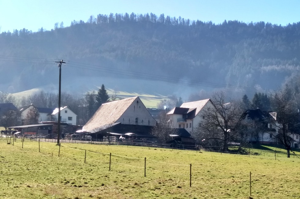 Wahlenhof - Glottertal