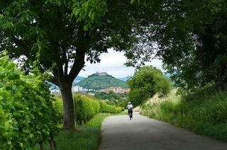 Ein neuer Radführer stellt 19 Touren in der Freiburger Region vor