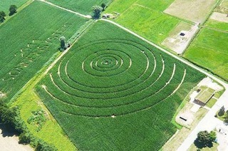 Rätsel-Spaß im Maisfeld-Labyrinth