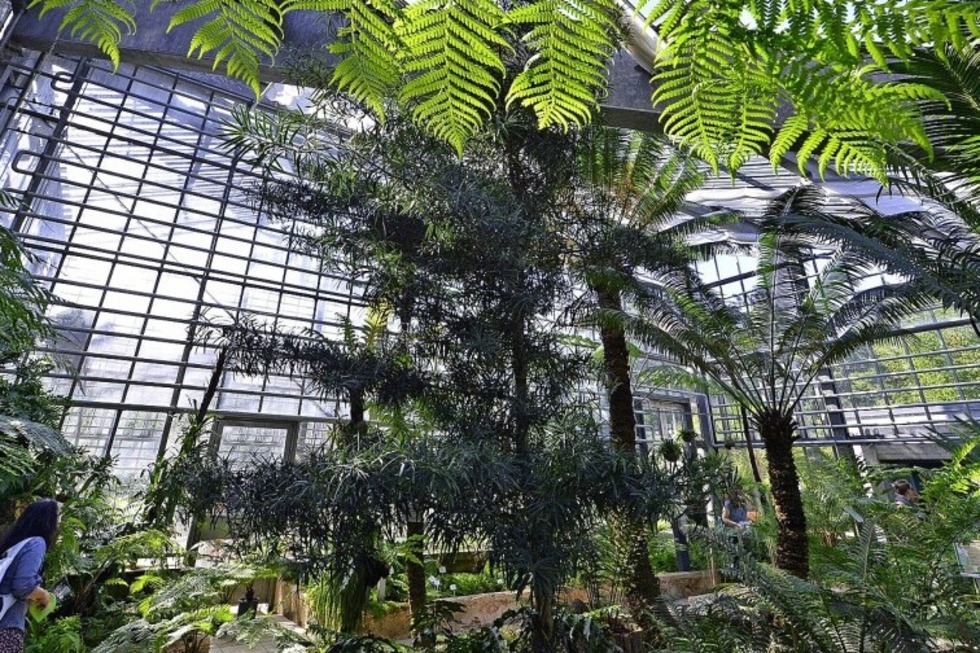 Eine Ausstellung im Botanischen Garten der Uni Freiburg informiert ber Neophythen. - Badische Zeitung TICKET