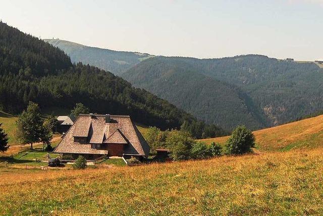 Hinterwaldkopfhütte