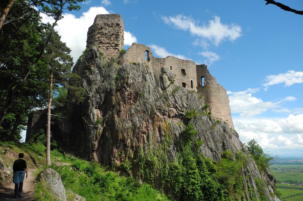 Burg Girsberg (Chteau de Girsberg) - Ribeauvill