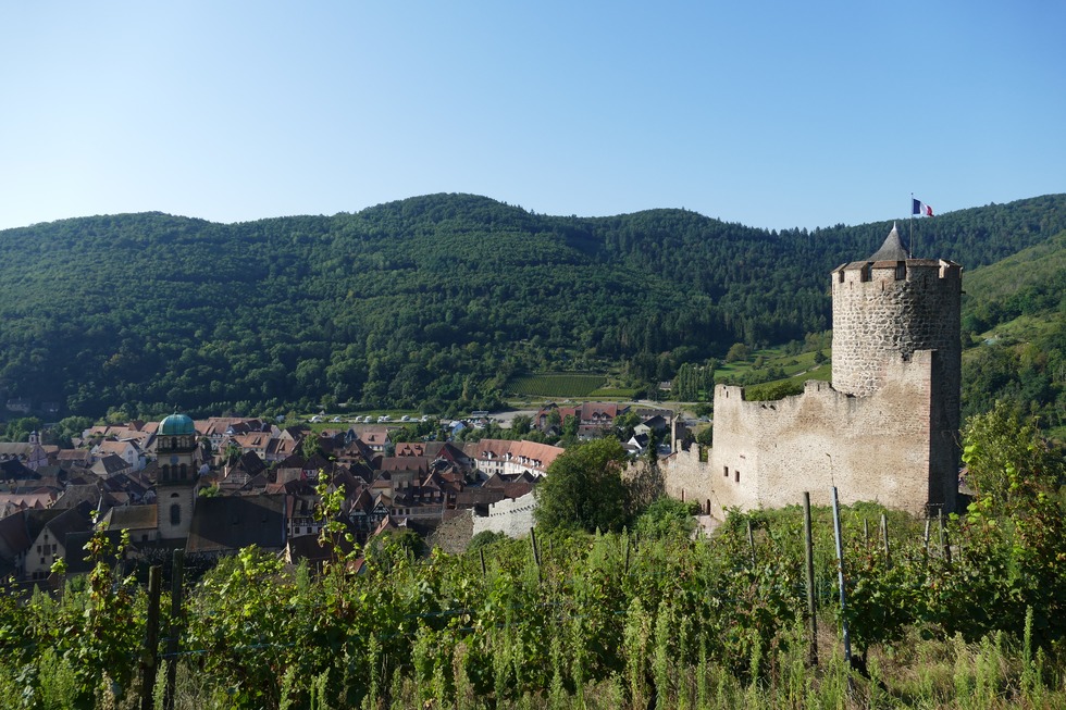 Burg Kaysersberg (Chteau du Schlossberg) - Kaysersberg