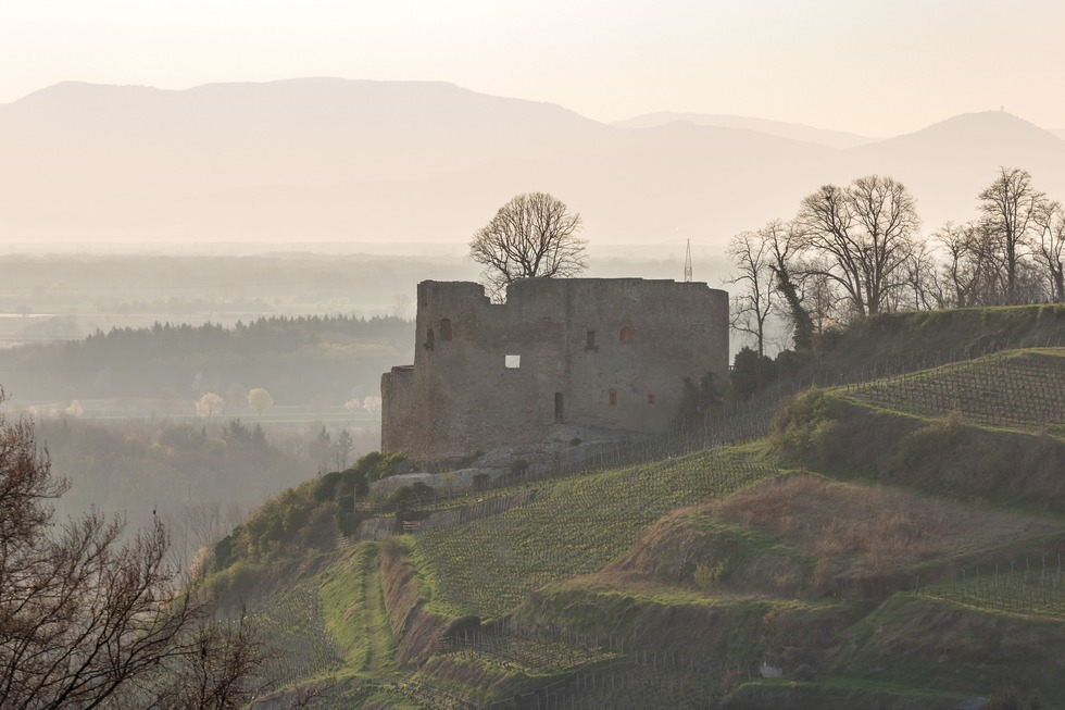 Burg Lichteneck Hecklingen - Kenzingen