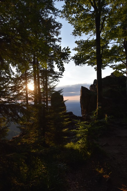 Groer Kandelfelsen - Waldkirch