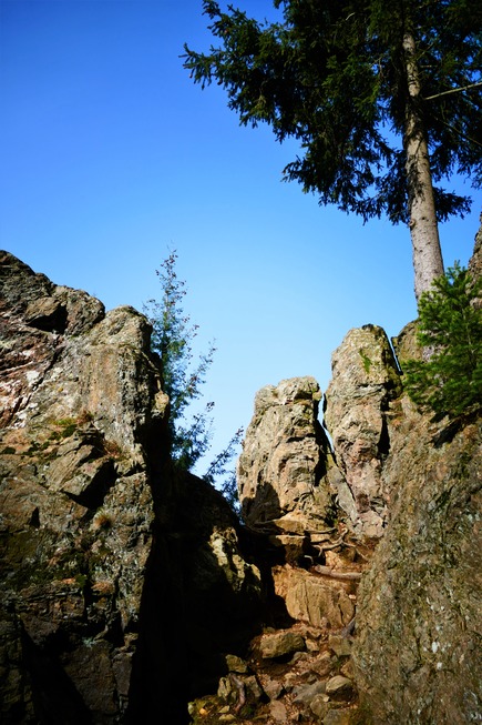 Stpfelefelsen - Freiburg