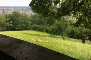 Kommandantengarten