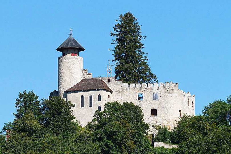 Burg Birseck - Arlesheim