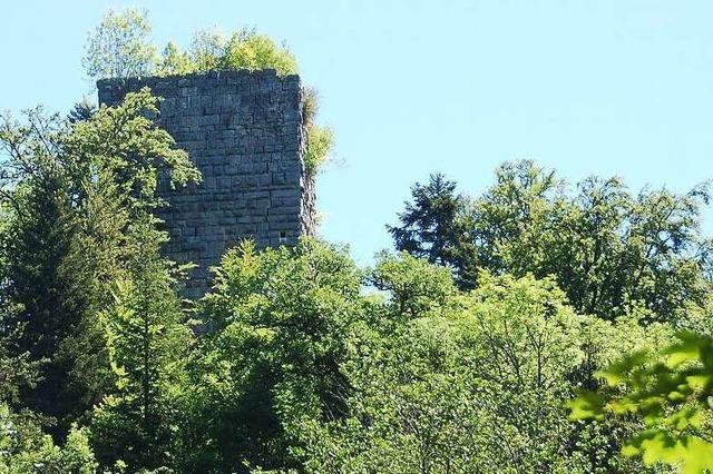 Burg Steinegg