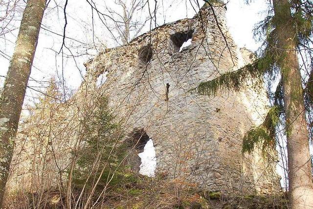 Burg Neu-Tannegg (Burg Boll)