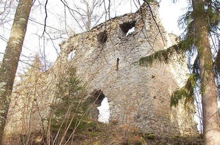Burg Neu-Tannegg (Burg Boll)