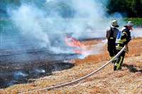Vegetationsbrnde stellen die Feuerwehren in der Ortenau vor groe Herausforderungen