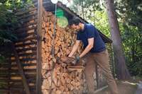 Fake-Shops: Schnppchen-Holz aus dem Internet kann teuer werden
