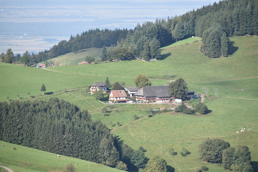 Eckhof Bauernhof-Eisdiele - Horben