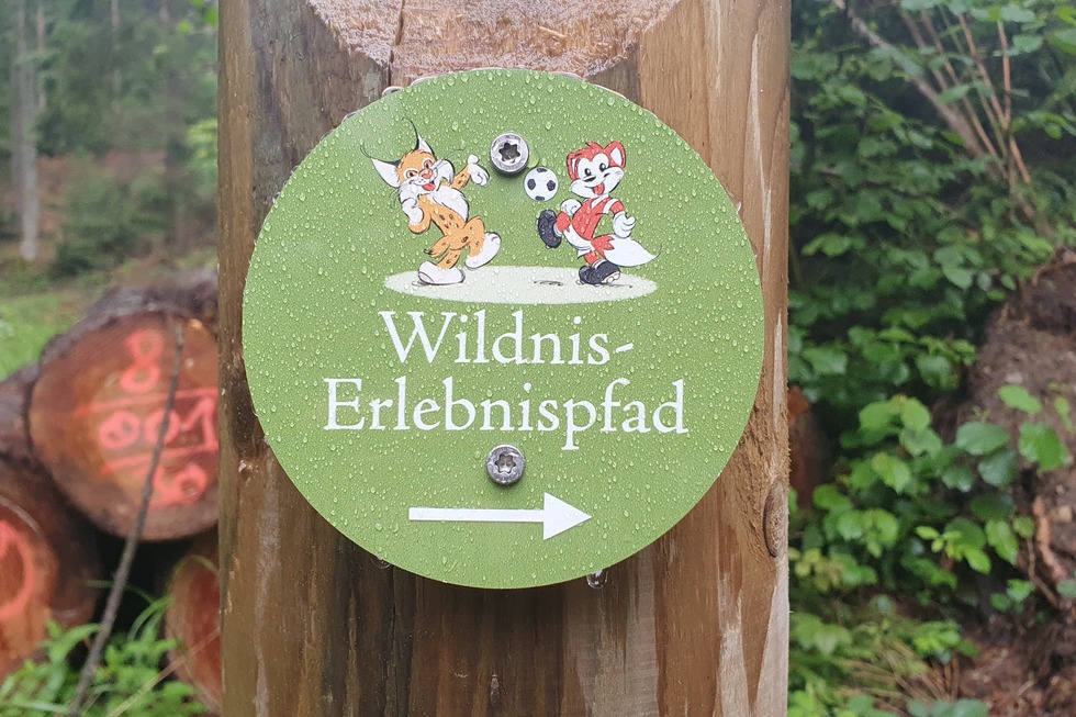 Wildnis-Erlebnispfad St. Wilhelm - Oberried