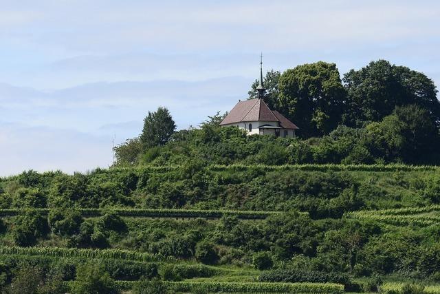 Burgunderpfad (Tuniberg)