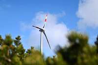 Brgergruppen wollen Windkraft-Ausbau im Elztal