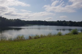 Birkenwaldsee