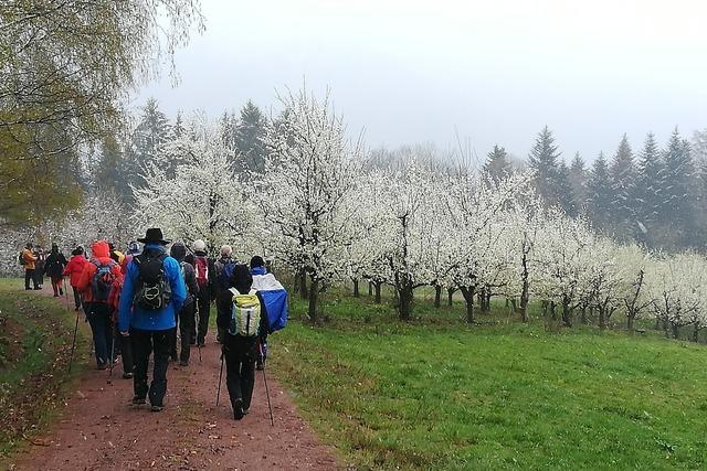 Bienenlehrpfad St. Peter