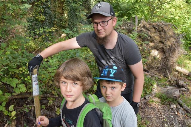 Waldpfad am Hornfelsen