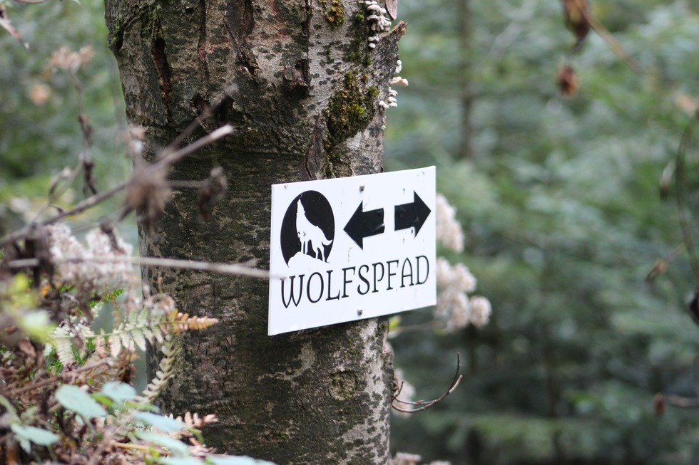 Wolfspfad (Rammersweier) - Offenburg