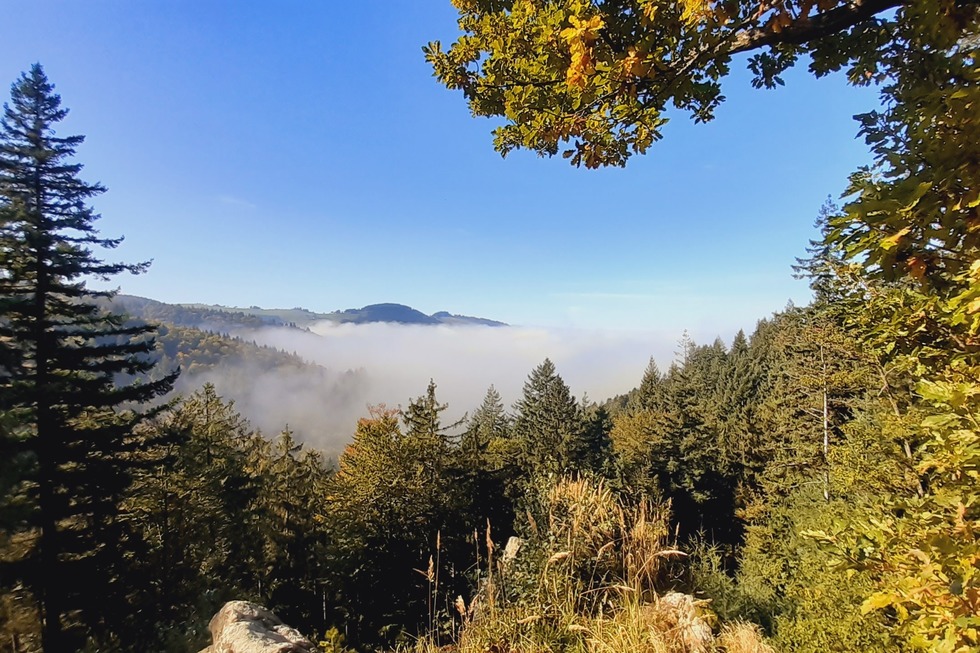 Wolfskopf - Freiburg