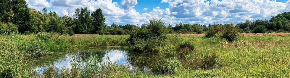 Naturhighlights im Elsass