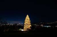 Weihnachtsbaum in Merzhausen ist grer als der am Rockefeller Center
