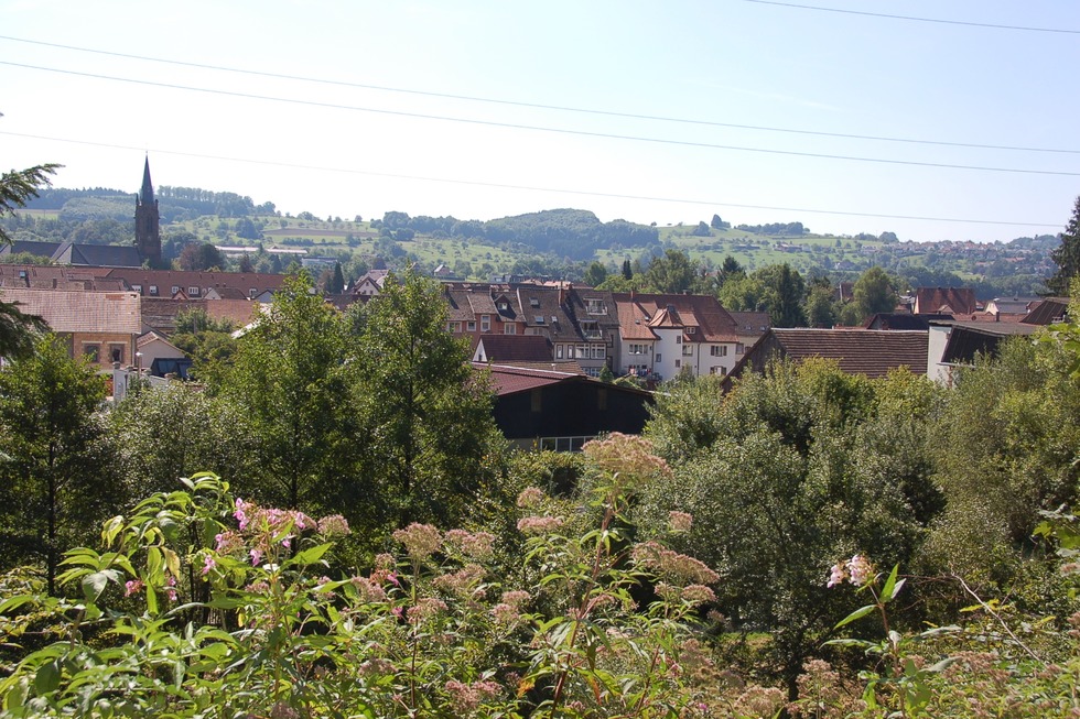 Stadtwald im Entegast - Schopfheim