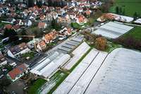 Wo heute Gewchshuser stehen, sollen in Holzhausen Wohnungen gebaut werden