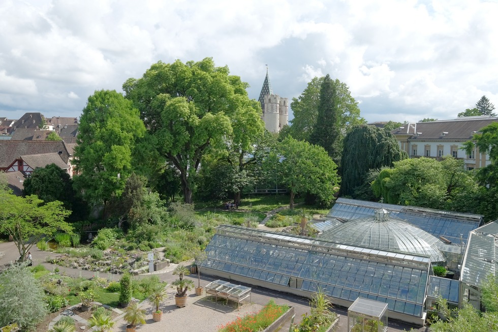 Botanischer Garten der Universitt - Basel