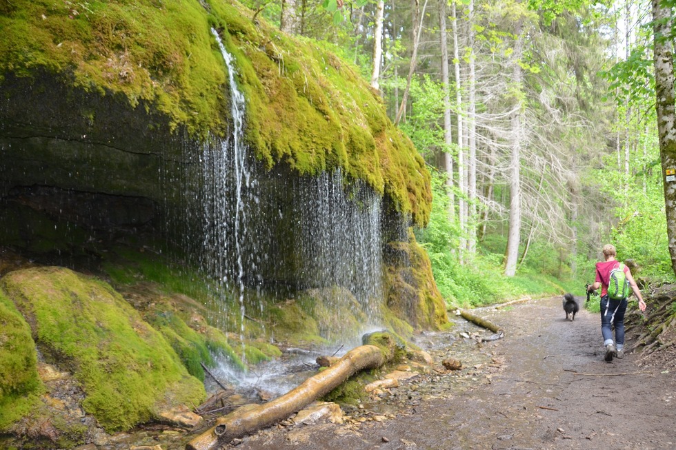 Dietfurter Wasserfall - Lffingen
