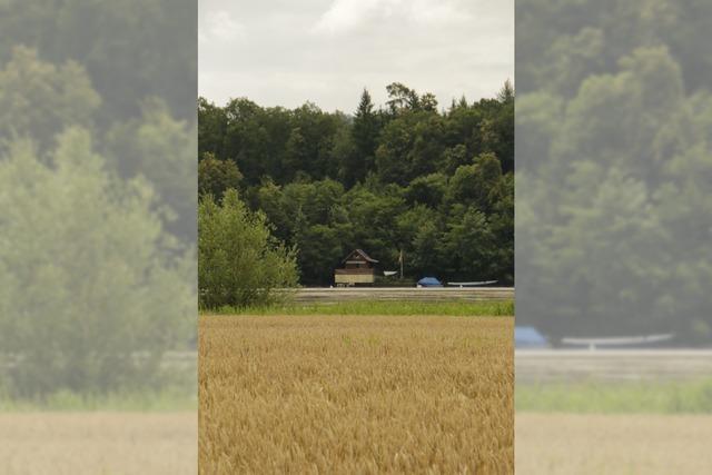 Rhein-Tour mit dem E-Bike
