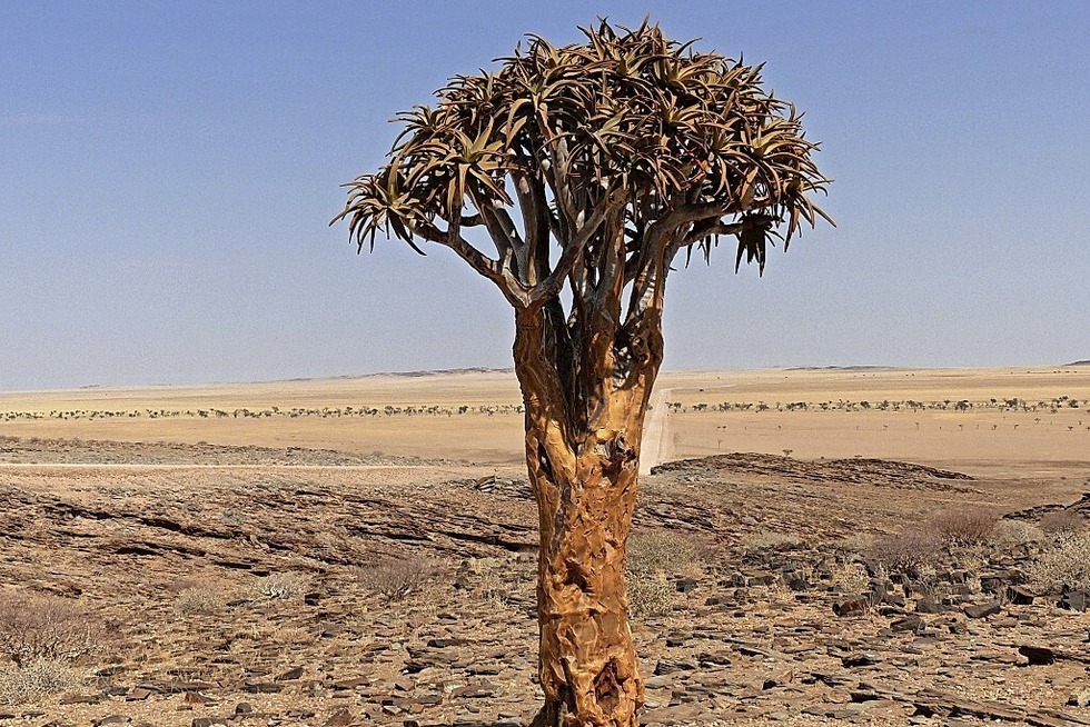 Namibia- land der extreme - Badische Zeitung TICKET