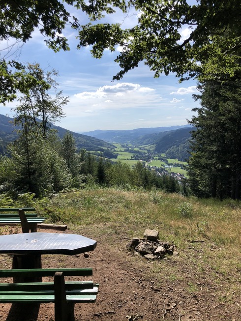 Felsen-Tour (Oberprechtal) - Elzach