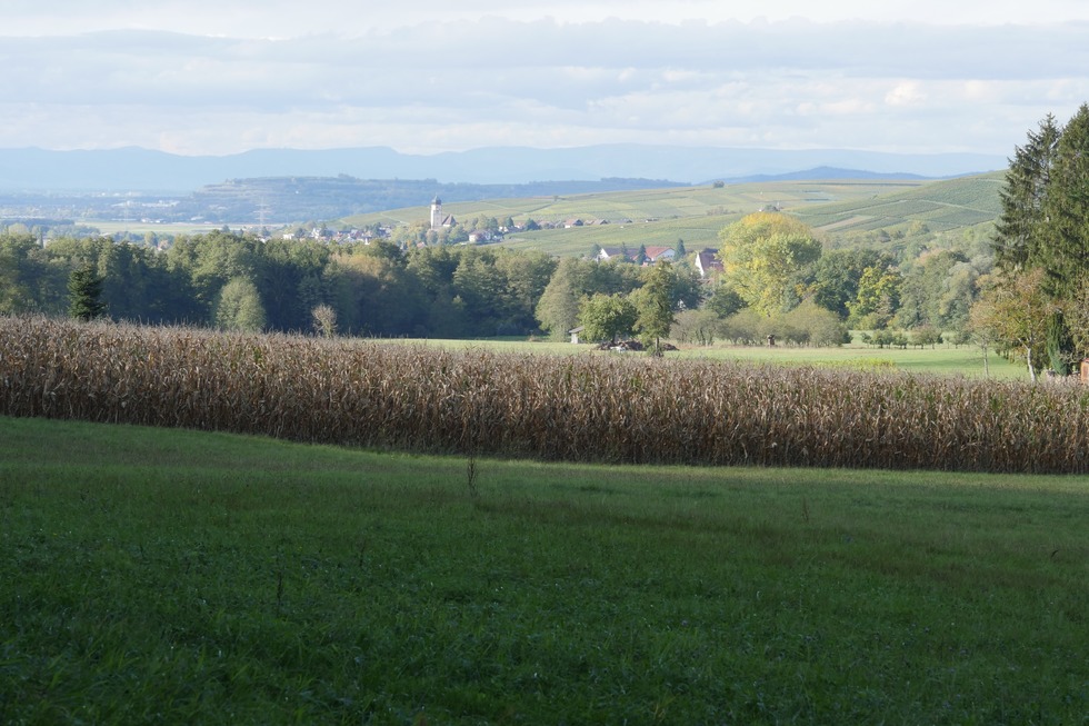 Archologiepfad Ehrenstetten - Ehrenkirchen