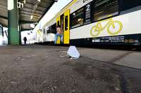 Viele Fahrgste in der Region Freiburg tragen weiter Maske in Bus und Bahn