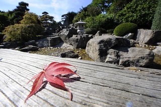 Japanischer Garten (Seepark)
