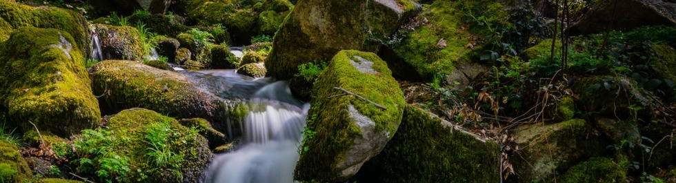 Traumhaft: Wasserflle im Nordschwarzwald