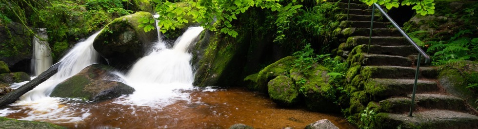 Naturhighlights im Nationalpark Nordschwarzwald