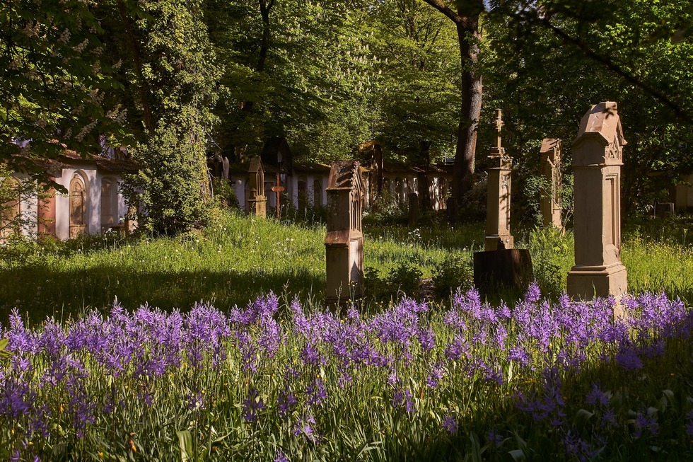 Alter Friedhof - Freiburg