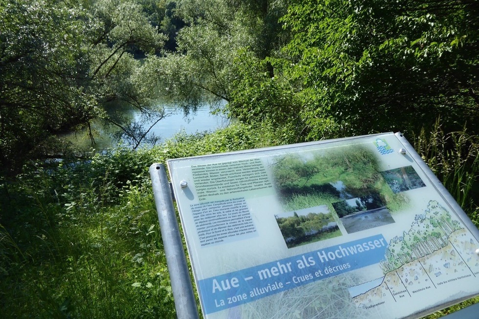 Naturerlebnispfad Kfigecken - Neuenburg