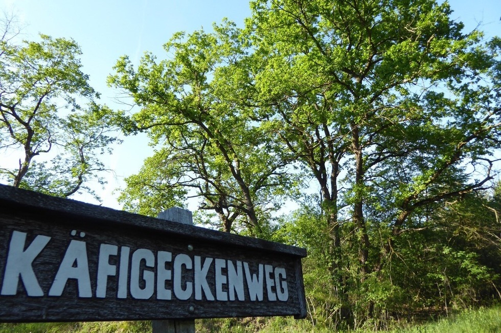 Naturerlebnispfad Kfigecken - Neuenburg